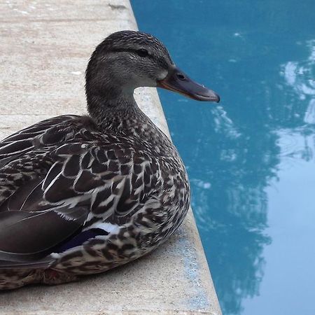 La Bastide Du Vallon Saumane-de-Vaucluse Ngoại thất bức ảnh